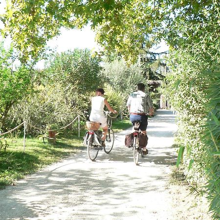 International Glamping Lago Di Bracciano Trevignano Romano Eksteriør billede