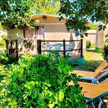 International Glamping Lago Di Bracciano Trevignano Romano Eksteriør billede