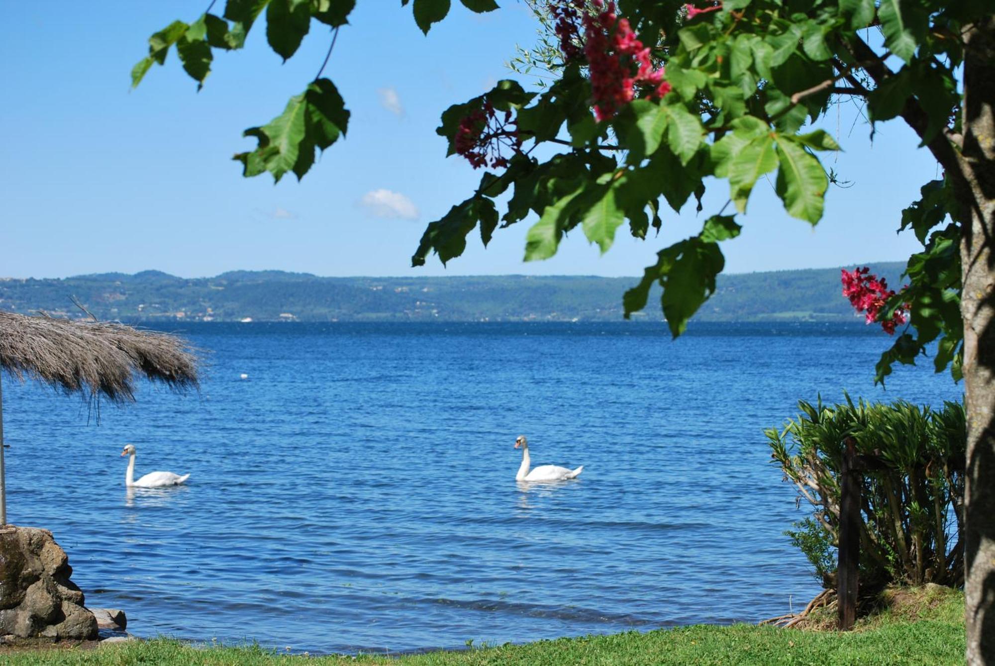 International Glamping Lago Di Bracciano Trevignano Romano Eksteriør billede