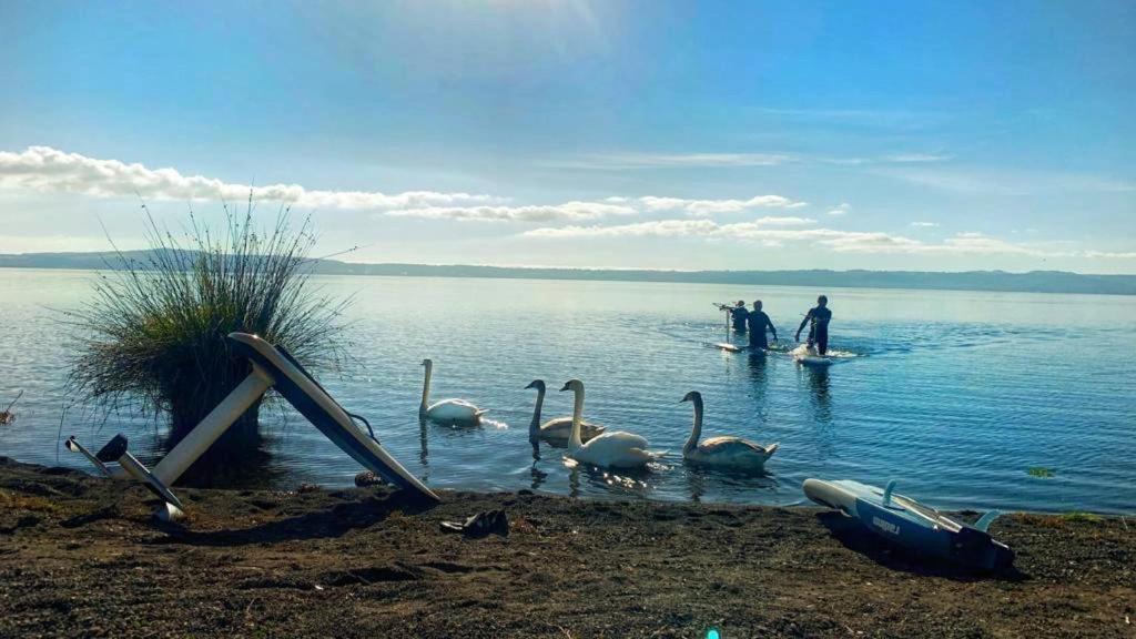 International Glamping Lago Di Bracciano Trevignano Romano Eksteriør billede
