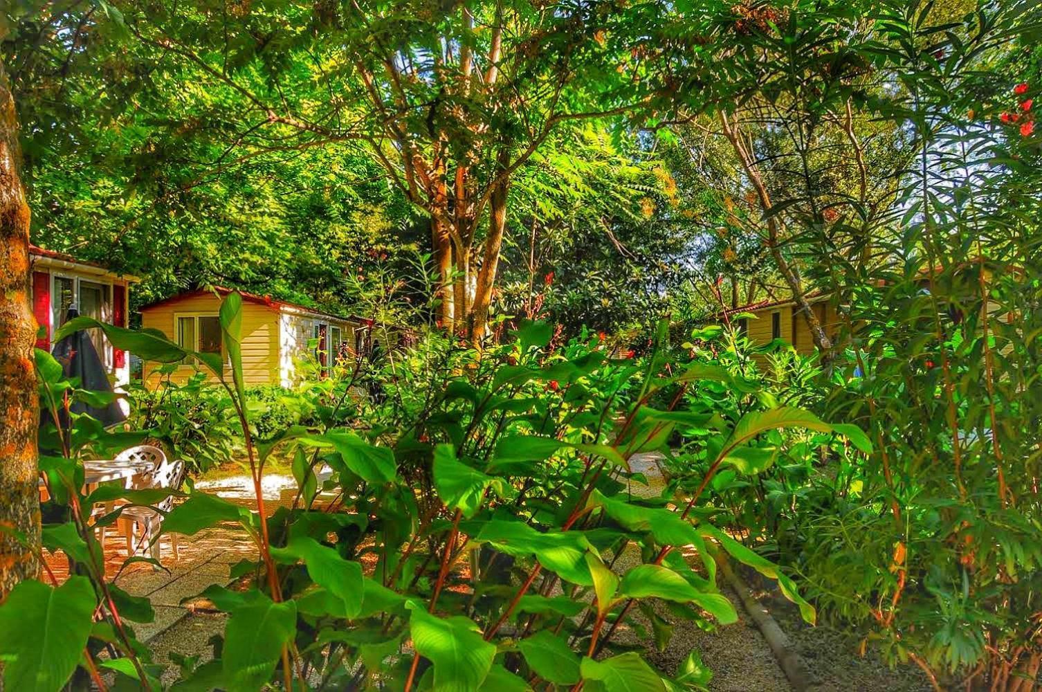International Glamping Lago Di Bracciano Trevignano Romano Eksteriør billede