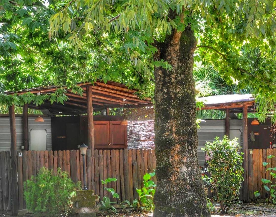 International Glamping Lago Di Bracciano Trevignano Romano Eksteriør billede