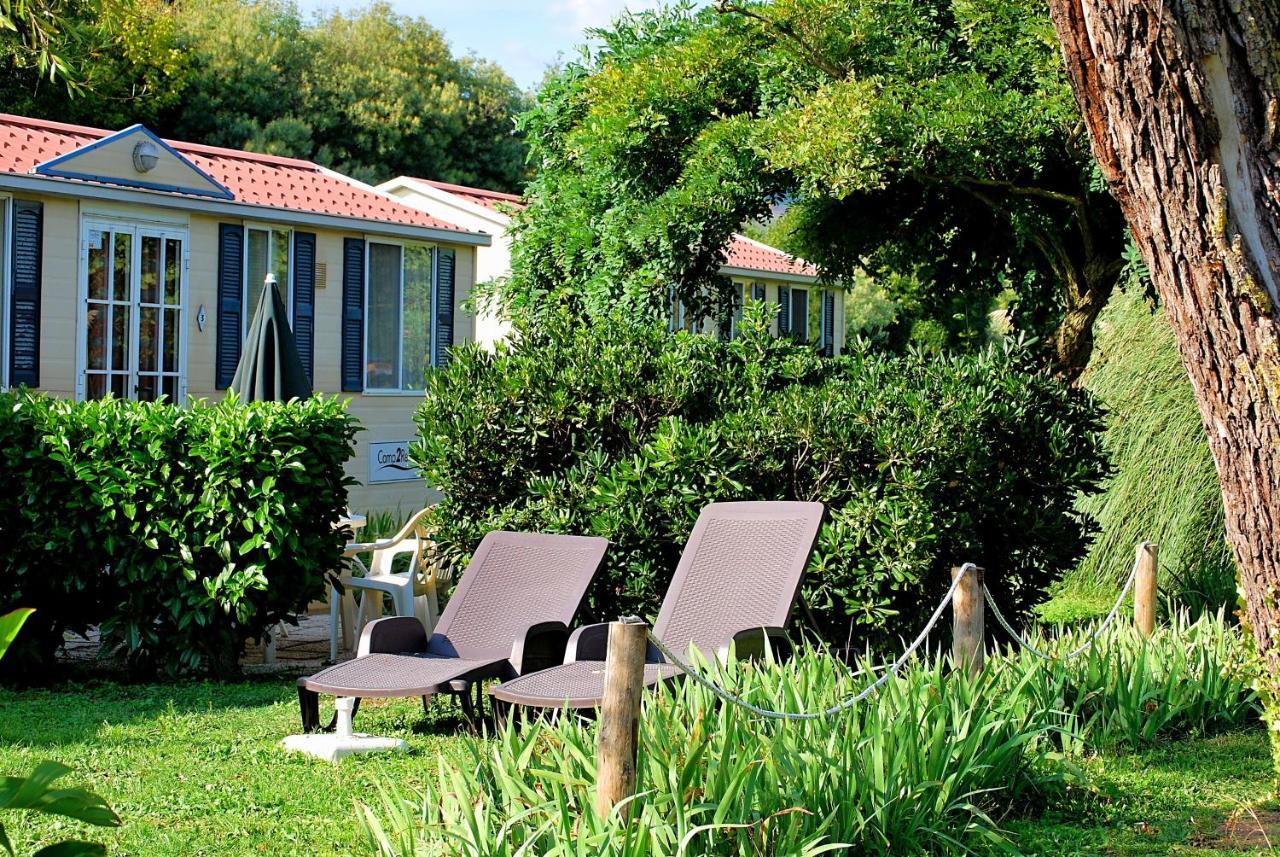 International Glamping Lago Di Bracciano Trevignano Romano Eksteriør billede