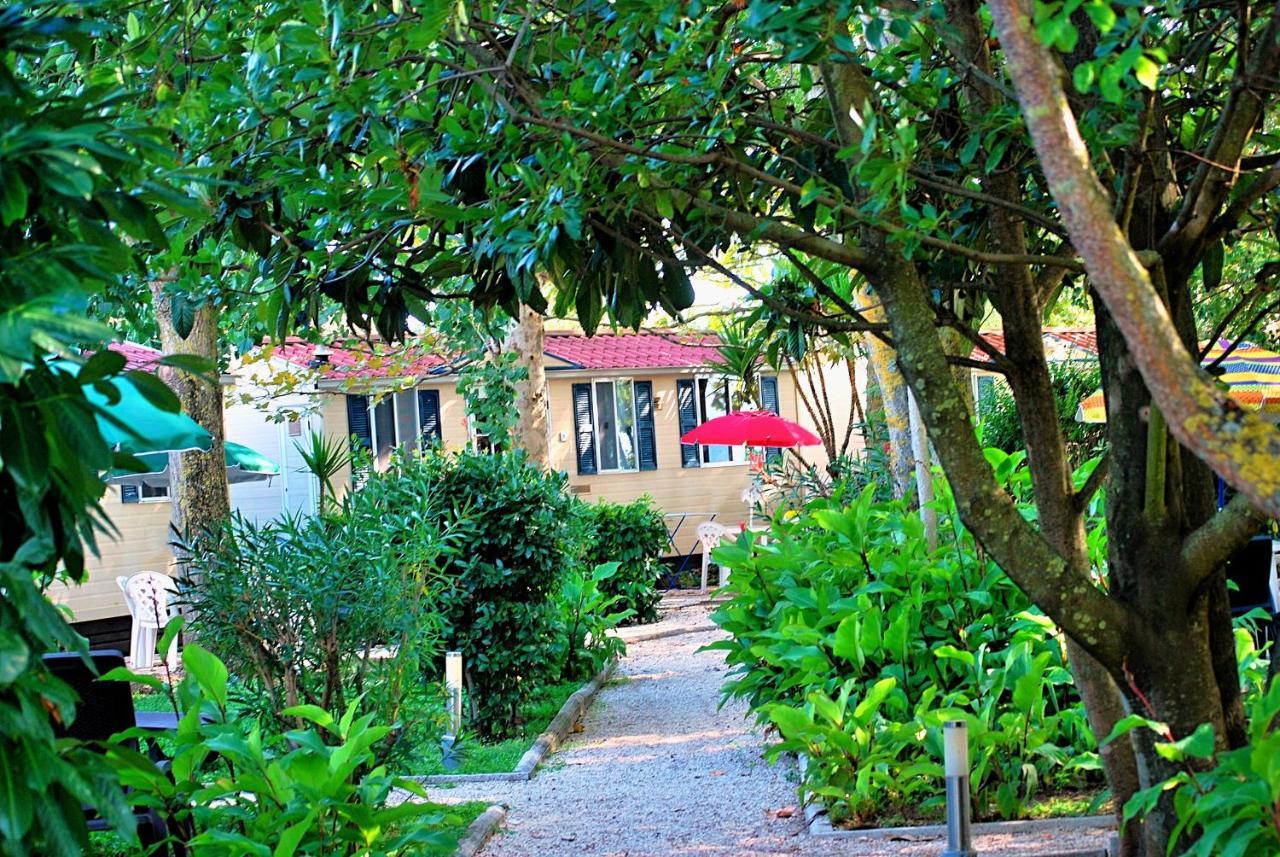 International Glamping Lago Di Bracciano Trevignano Romano Eksteriør billede