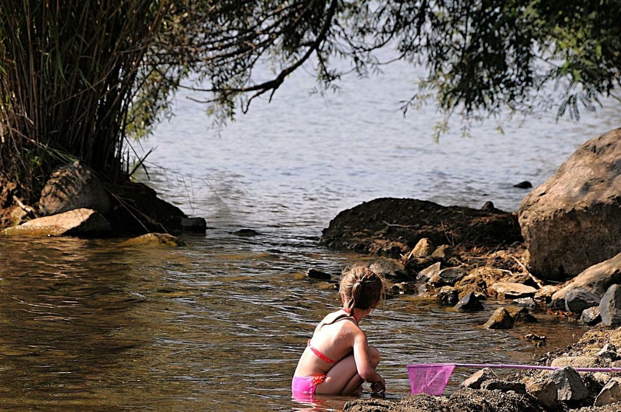 International Glamping Lago Di Bracciano Trevignano Romano Eksteriør billede