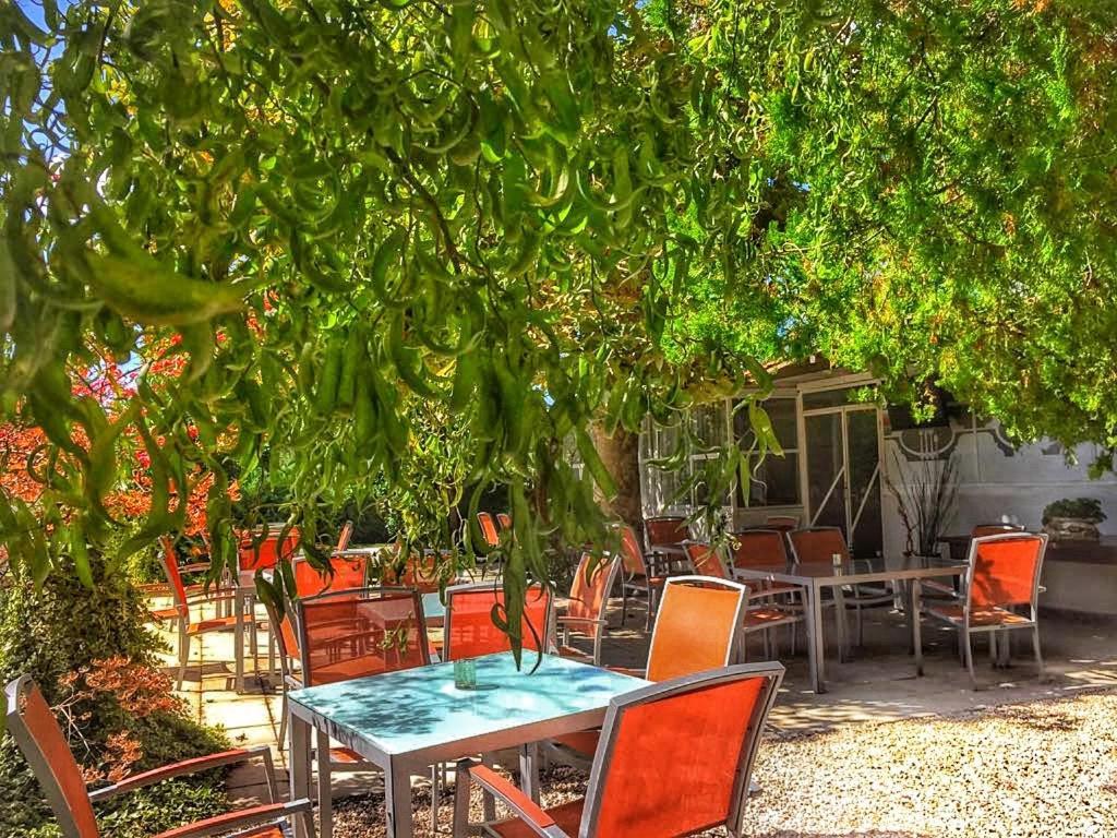 International Glamping Lago Di Bracciano Trevignano Romano Eksteriør billede